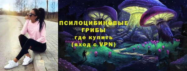 ешки Алзамай